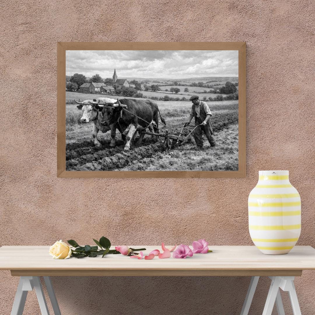 Affiche imprimée Édition Premium – Photo artistique haute définition, décoration murale moderne élégante, idée cadeau déco intérieur design