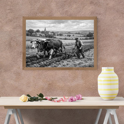 Affiche imprimée Édition Premium – Photo artistique haute définition, décoration murale moderne élégante, idée cadeau déco intérieur design