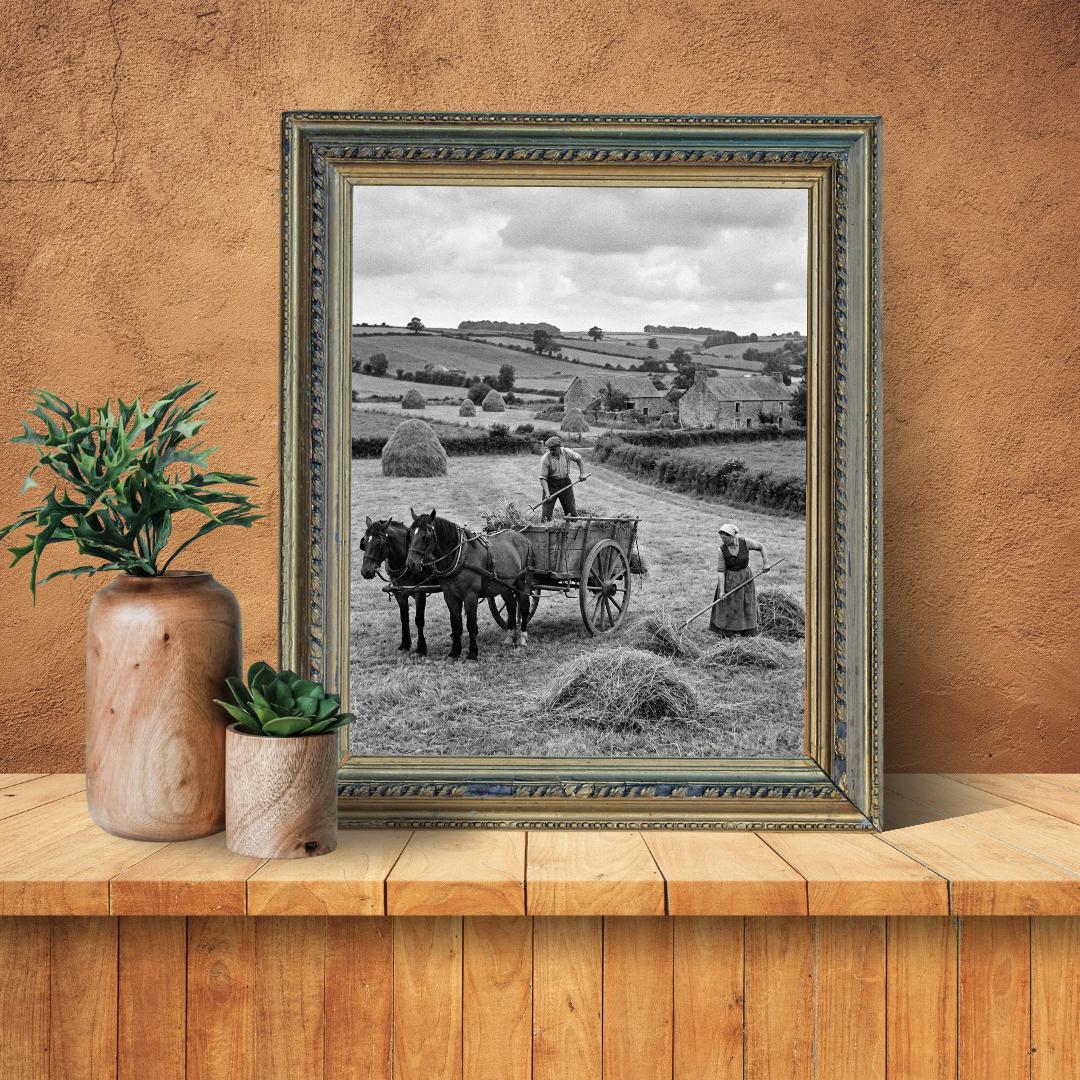 Affiche imprimée Édition Premium – Photo artistique haute définition, décoration murale moderne élégante, idée cadeau déco intérieur design