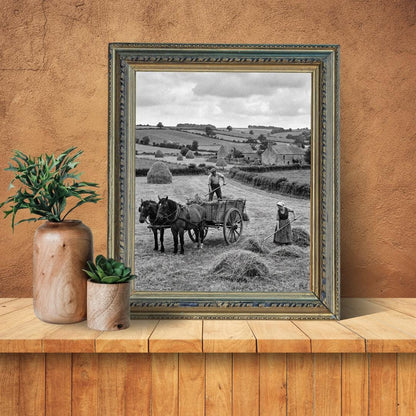 Affiche imprimée Édition Premium – Photo artistique haute définition, décoration murale moderne élégante, idée cadeau déco intérieur design