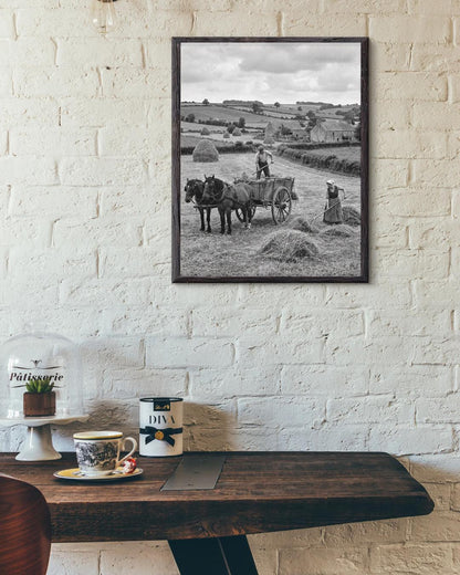 Affiche imprimée Édition Premium – Photo artistique haute définition, décoration murale moderne élégante, idée cadeau déco intérieur design