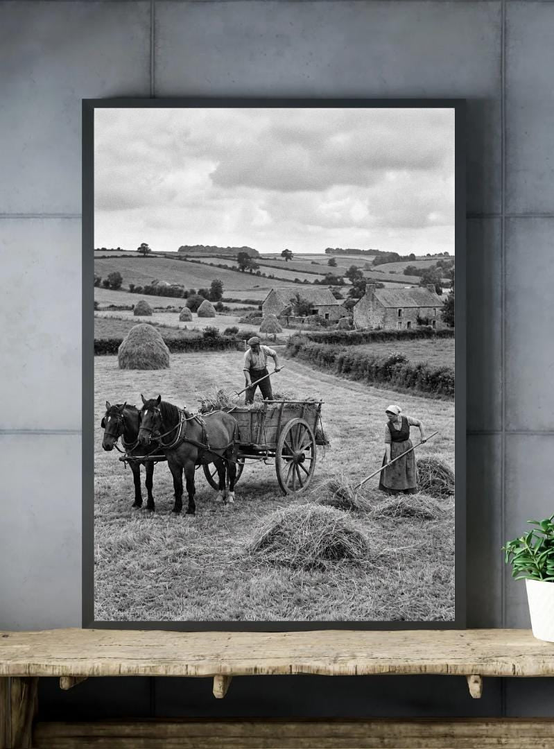 Affiche imprimée Édition Premium – Photo artistique haute définition, décoration murale moderne élégante, idée cadeau déco intérieur design