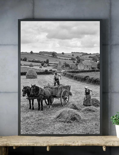 Affiche imprimée Édition Premium – Photo artistique haute définition, décoration murale moderne élégante, idée cadeau déco intérieur design