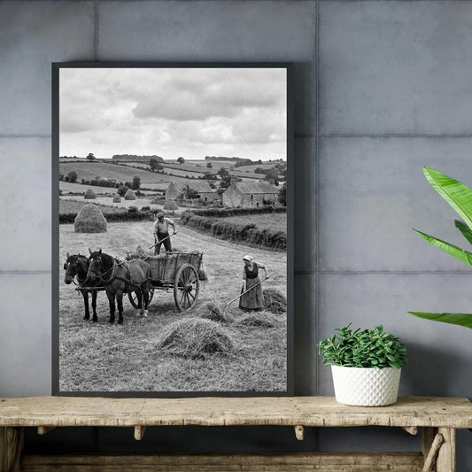 Affiche imprimée Édition Premium – Photo artistique haute définition, décoration murale moderne élégante, idée cadeau déco intérieur design