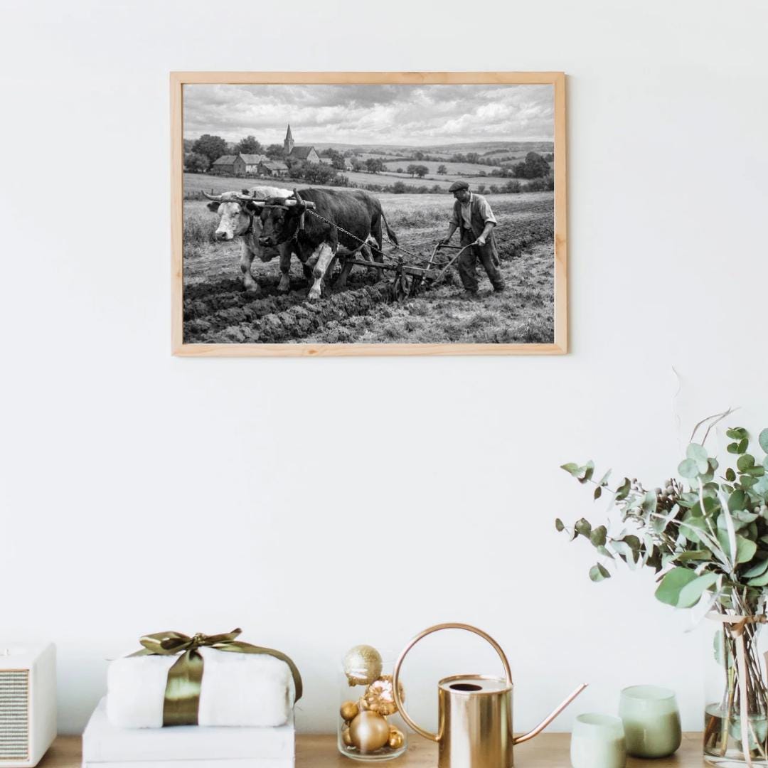 Affiche imprimée Édition Premium – Photo artistique haute définition, décoration murale moderne élégante, idée cadeau déco intérieur design