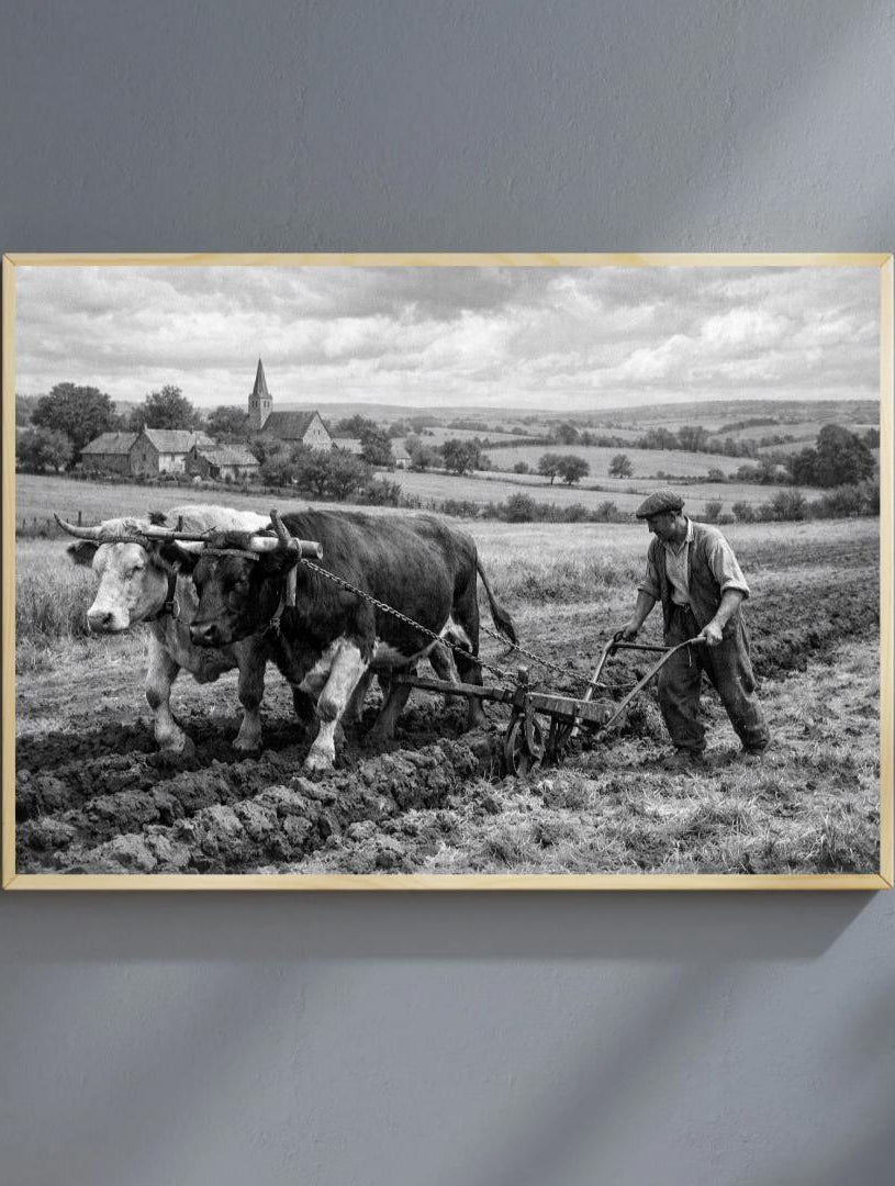 Affiche imprimée Édition Premium – Photo artistique haute définition, décoration murale moderne élégante, idée cadeau déco intérieur design