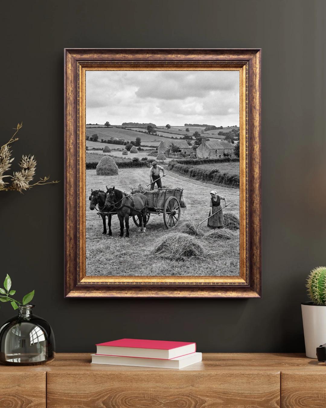 Affiche imprimée Édition Premium – Photo artistique haute définition, décoration murale moderne élégante, idée cadeau déco intérieur design