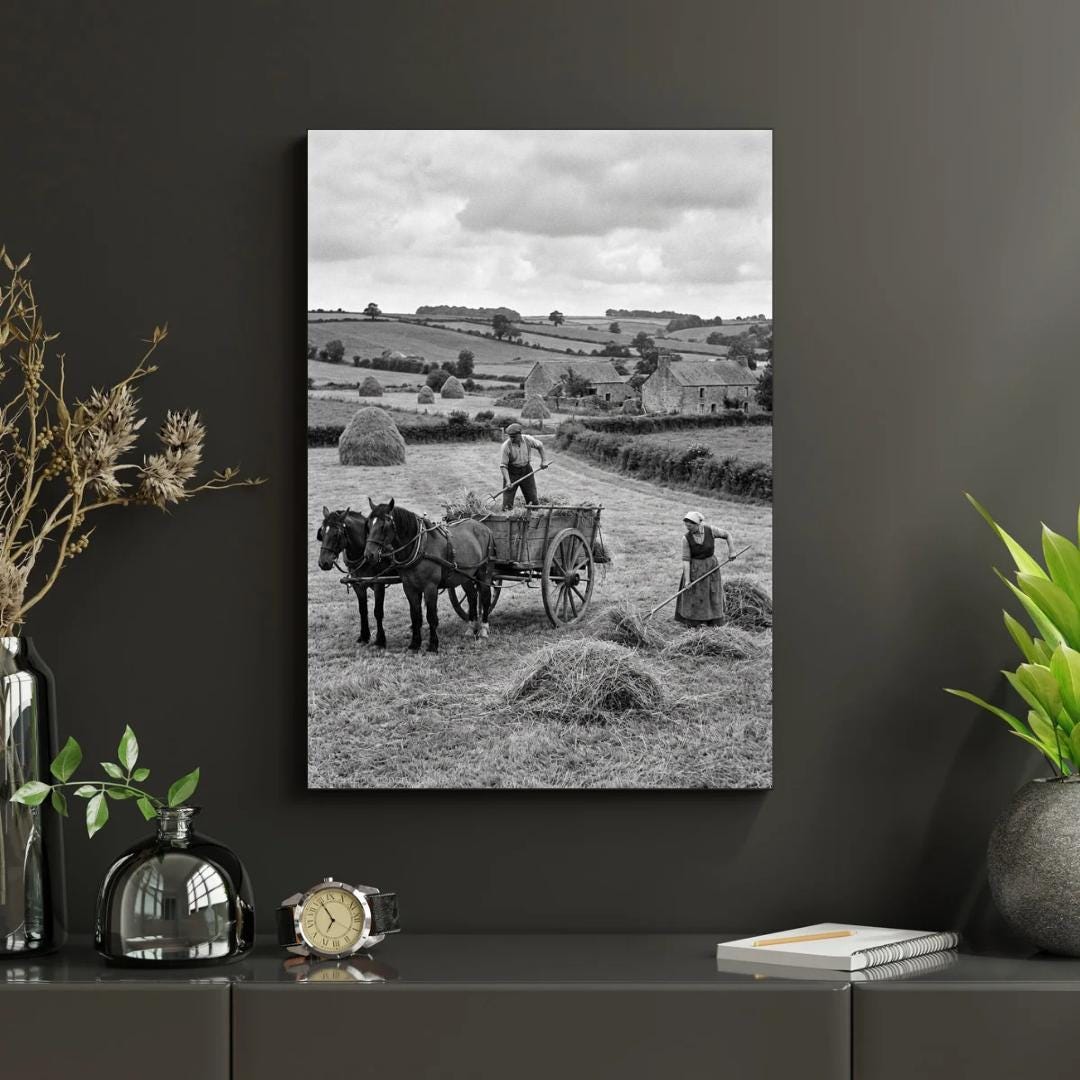 Affiche imprimée Édition Premium – Photo artistique haute définition, décoration murale moderne élégante, idée cadeau déco intérieur design