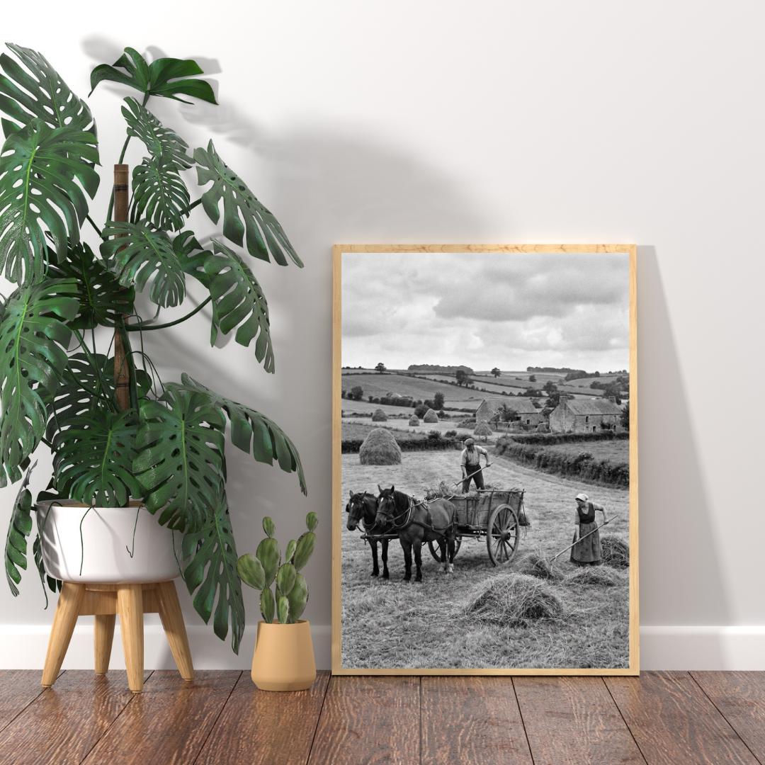 Affiche imprimée Édition Premium – Photo artistique haute définition, décoration murale moderne élégante, idée cadeau déco intérieur design