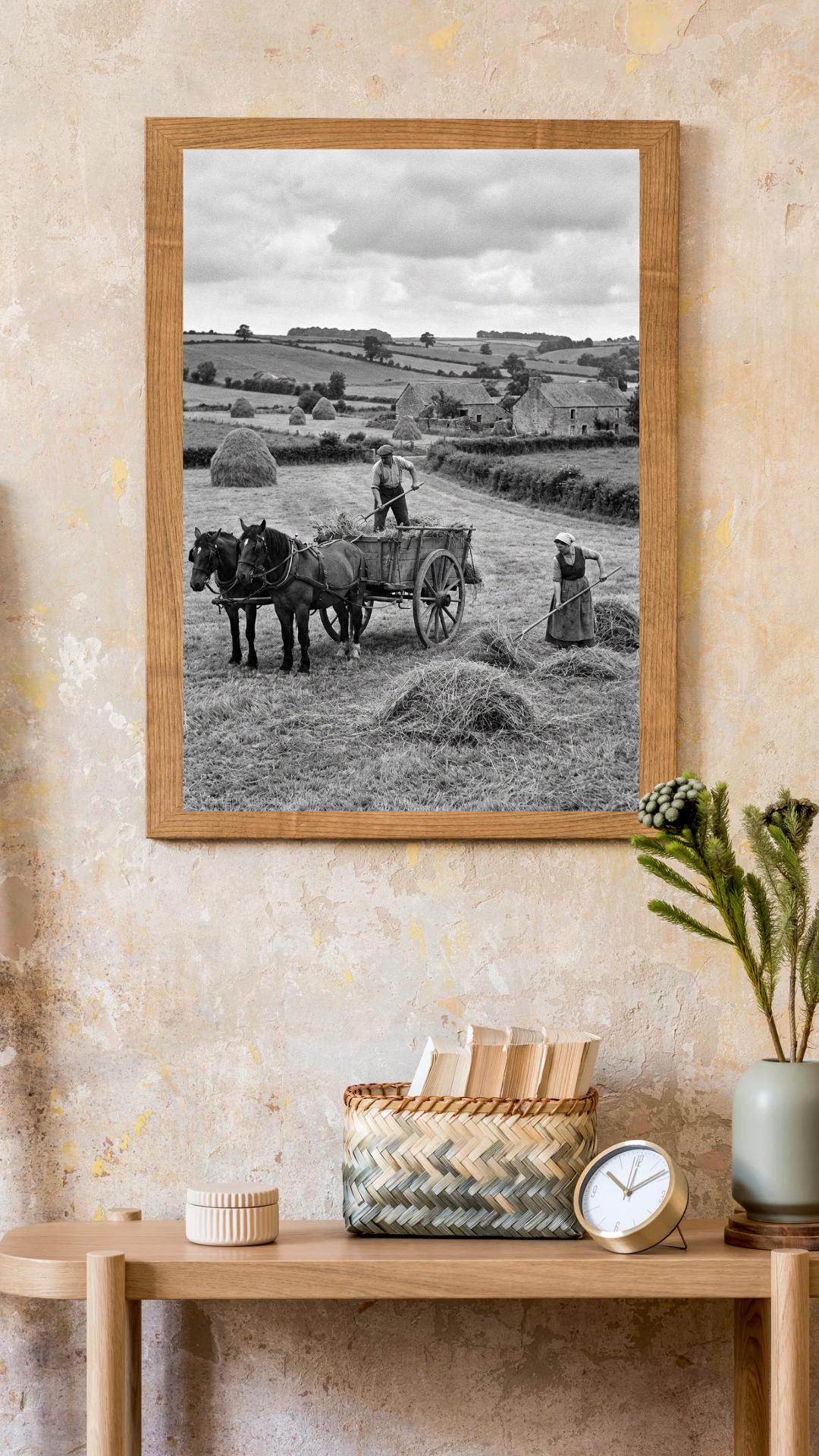 Affiche imprimée Édition Premium – Photo artistique haute définition, décoration murale moderne élégante, idée cadeau déco intérieur design
