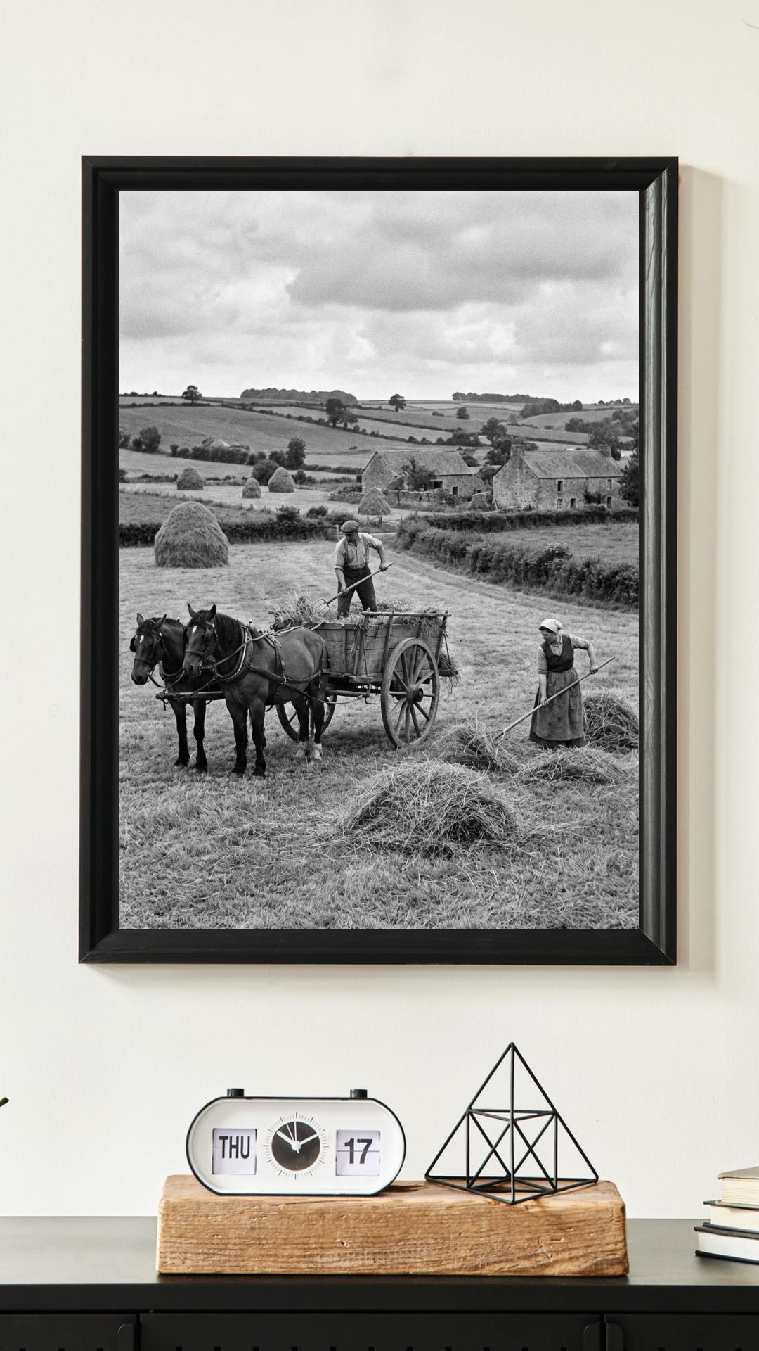 Affiche imprimée Édition Premium – Photo artistique haute définition, décoration murale moderne élégante, idée cadeau déco intérieur design