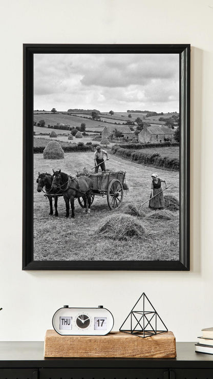 Affiche imprimée Édition Premium – Photo artistique haute définition, décoration murale moderne élégante, idée cadeau déco intérieur design