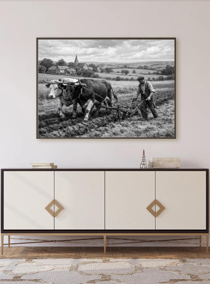 Affiche imprimée Édition Premium – Photo artistique haute définition, décoration murale moderne élégante, idée cadeau déco intérieur design