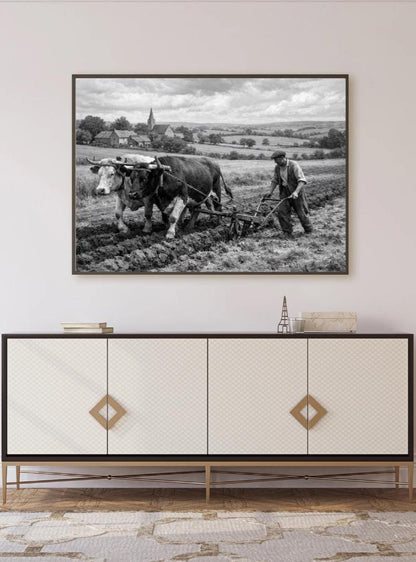 Affiche imprimée Édition Premium – Photo artistique haute définition, décoration murale moderne élégante, idée cadeau déco intérieur design