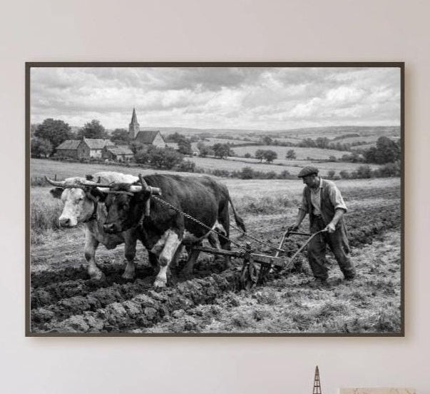 Affiche imprimée Édition Premium – Photo artistique haute définition, décoration murale moderne élégante, idée cadeau déco intérieur design