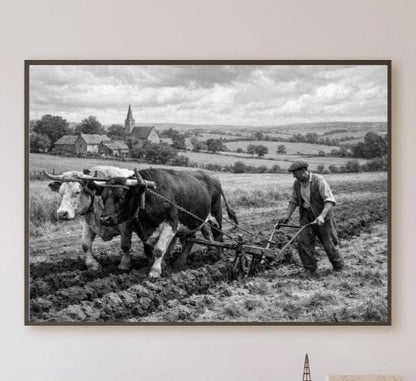 Affiche imprimée Édition Premium – Photo artistique haute définition, décoration murale moderne élégante, idée cadeau déco intérieur design
