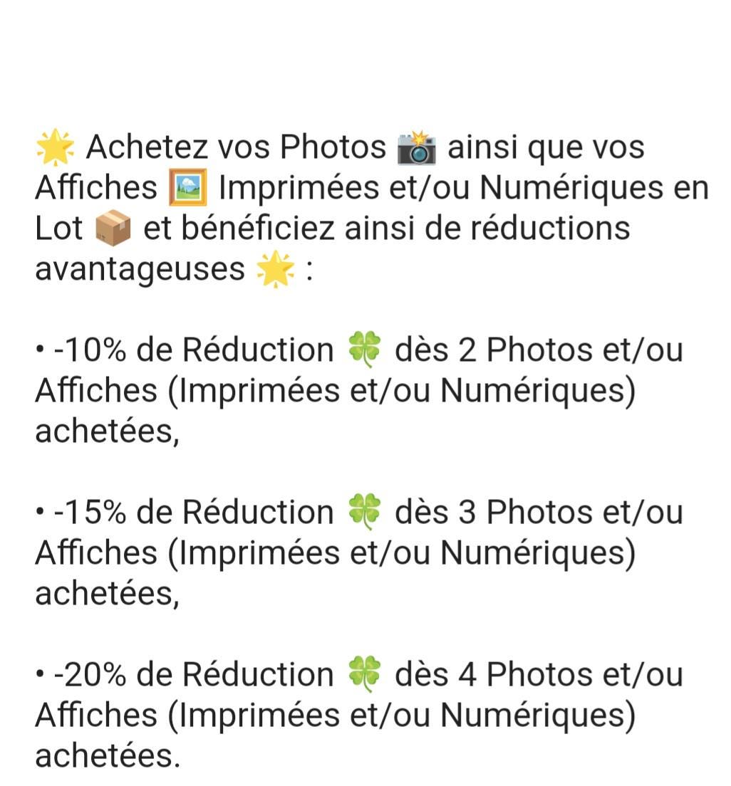 Affiche imprimée Édition Premium – Photo artistique haute définition, décoration murale moderne élégante, idée cadeau déco intérieur design