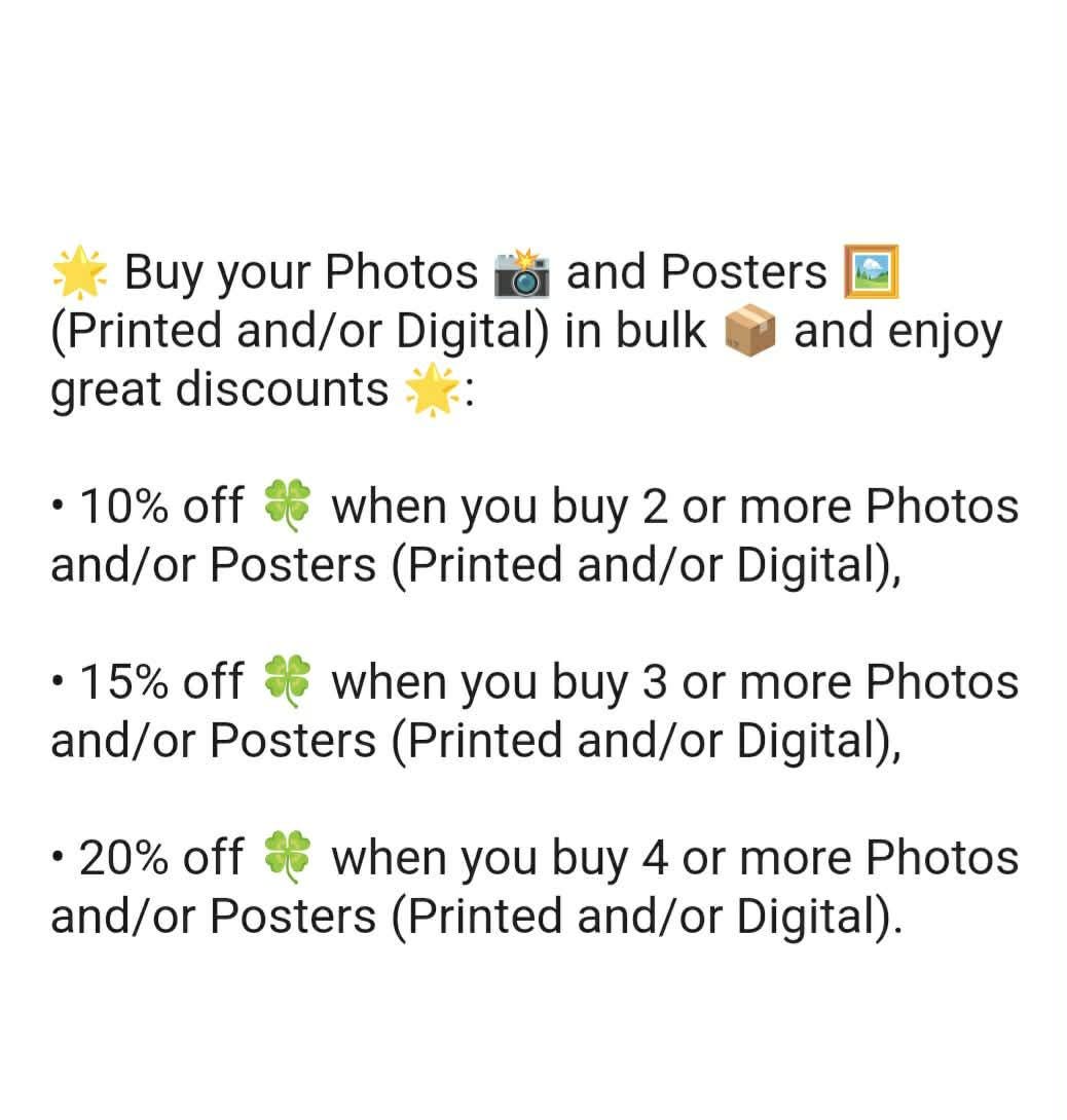 Affiche imprimée Édition Premium – Photo artistique haute définition, décoration murale moderne élégante, idée cadeau déco intérieur design