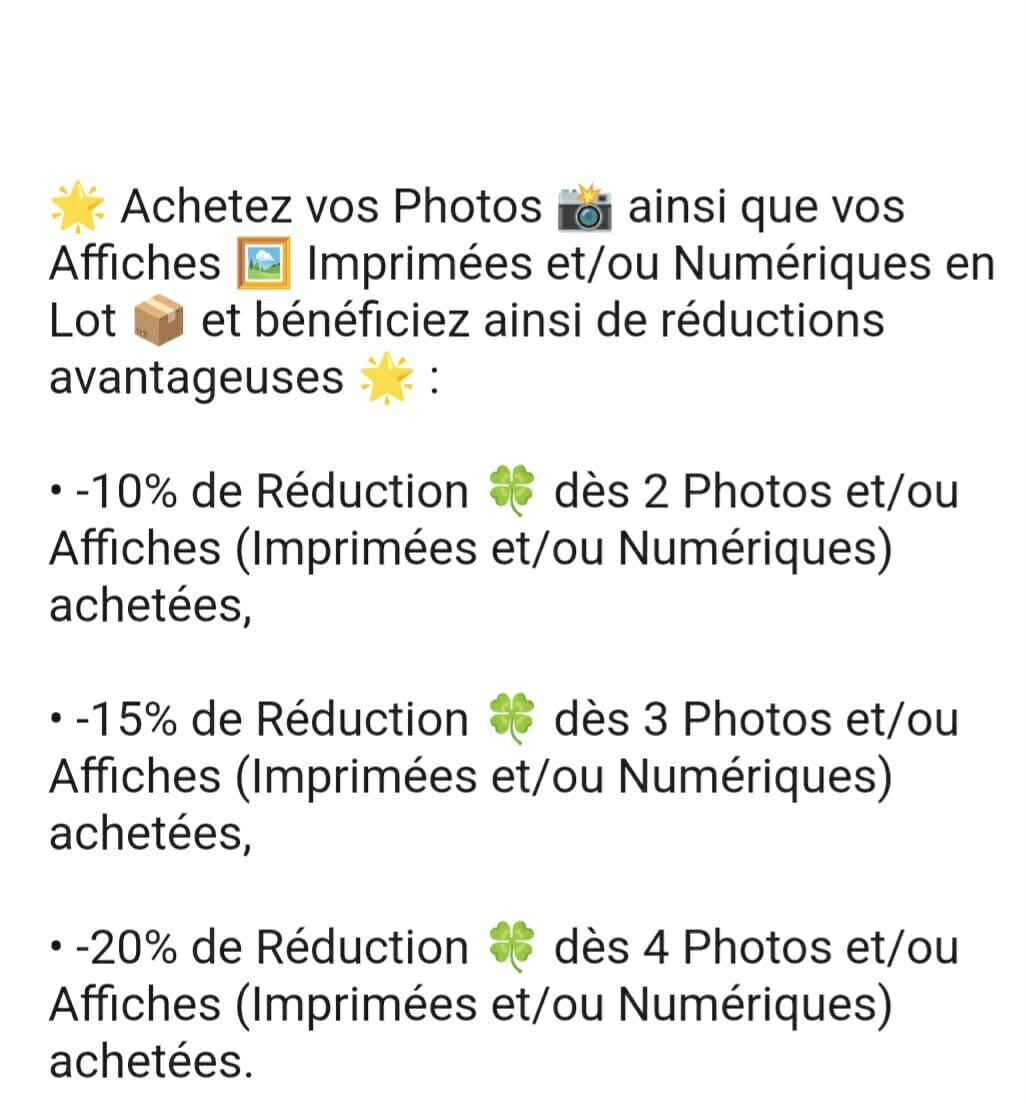 Affiche imprimée Édition Premium – Photo artistique haute définition, décoration murale moderne élégante, idée cadeau déco intérieur design
