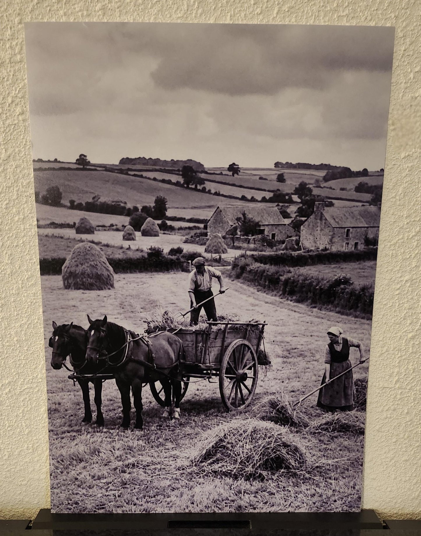 Affiche imprimée Édition Premium – Photo artistique haute définition, décoration murale moderne élégante, idée cadeau déco intérieur design