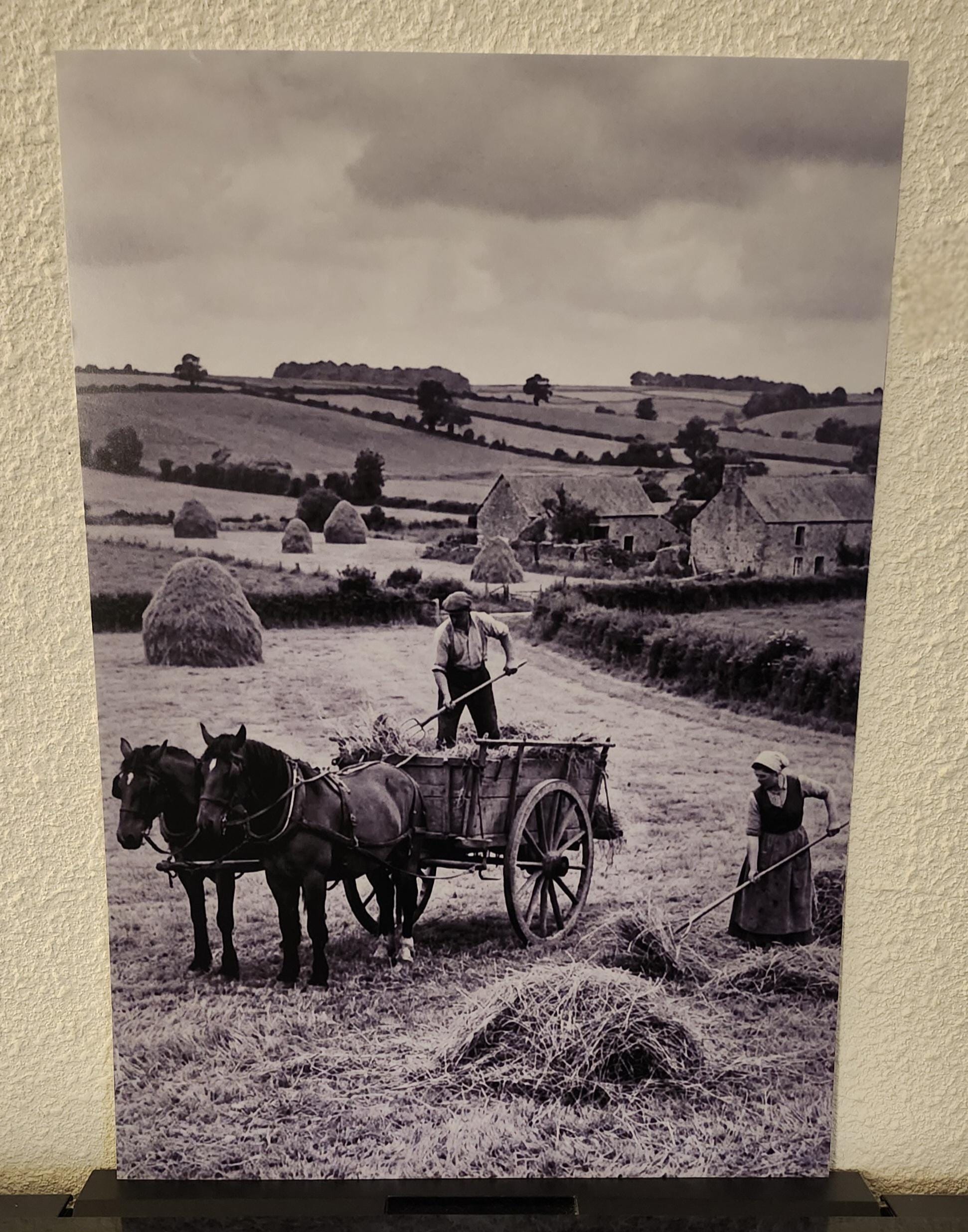 Affiche imprimée Édition Premium – Photo artistique haute définition, décoration murale moderne élégante, idée cadeau déco intérieur design