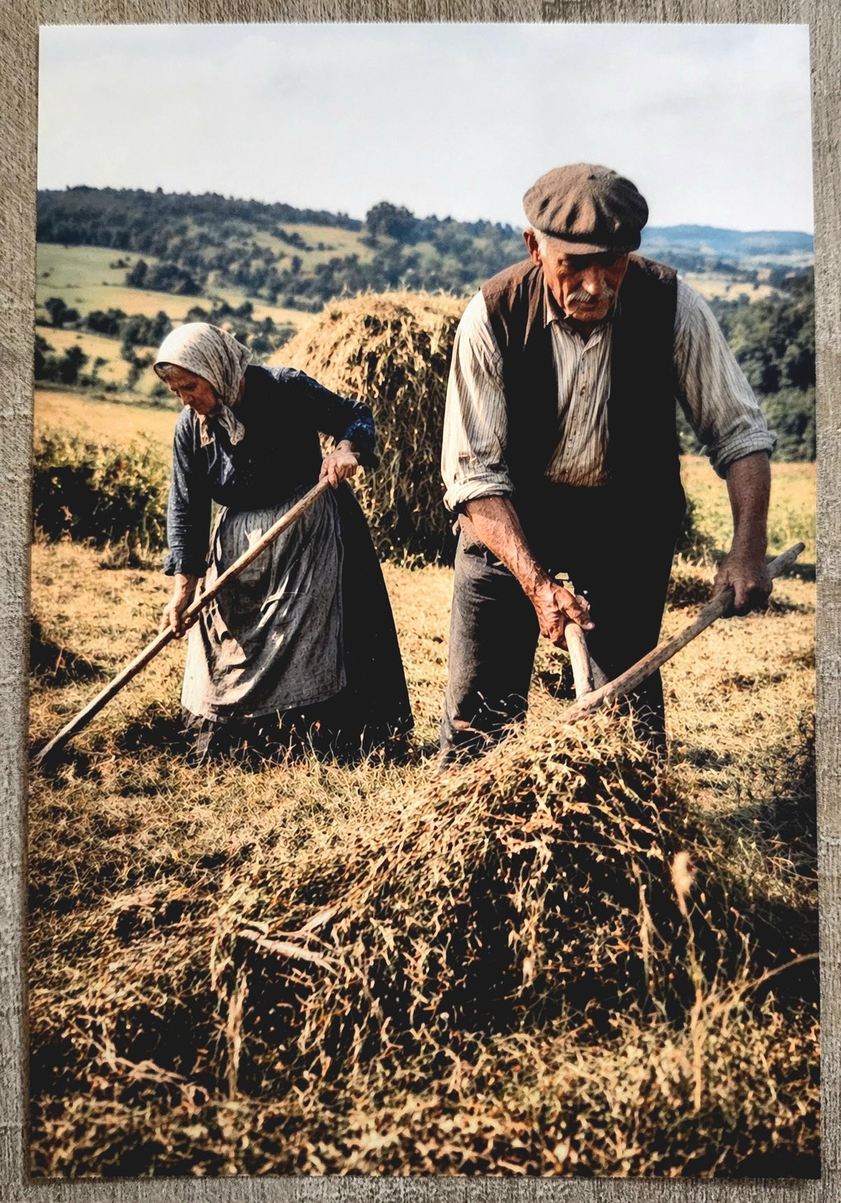 Affiche Imprimée Campagne & Travaux des champs, Art, Poster d'antan – Édition Premium – Art Rural Authentique, Conçue et Imprimée en France