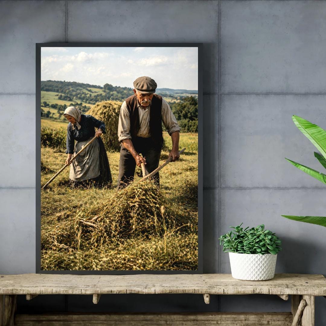 Affiche Imprimée Campagne & Travaux des champs, Art, Poster d'antan – Édition Premium – Art Rural Authentique, Conçue et Imprimée en France