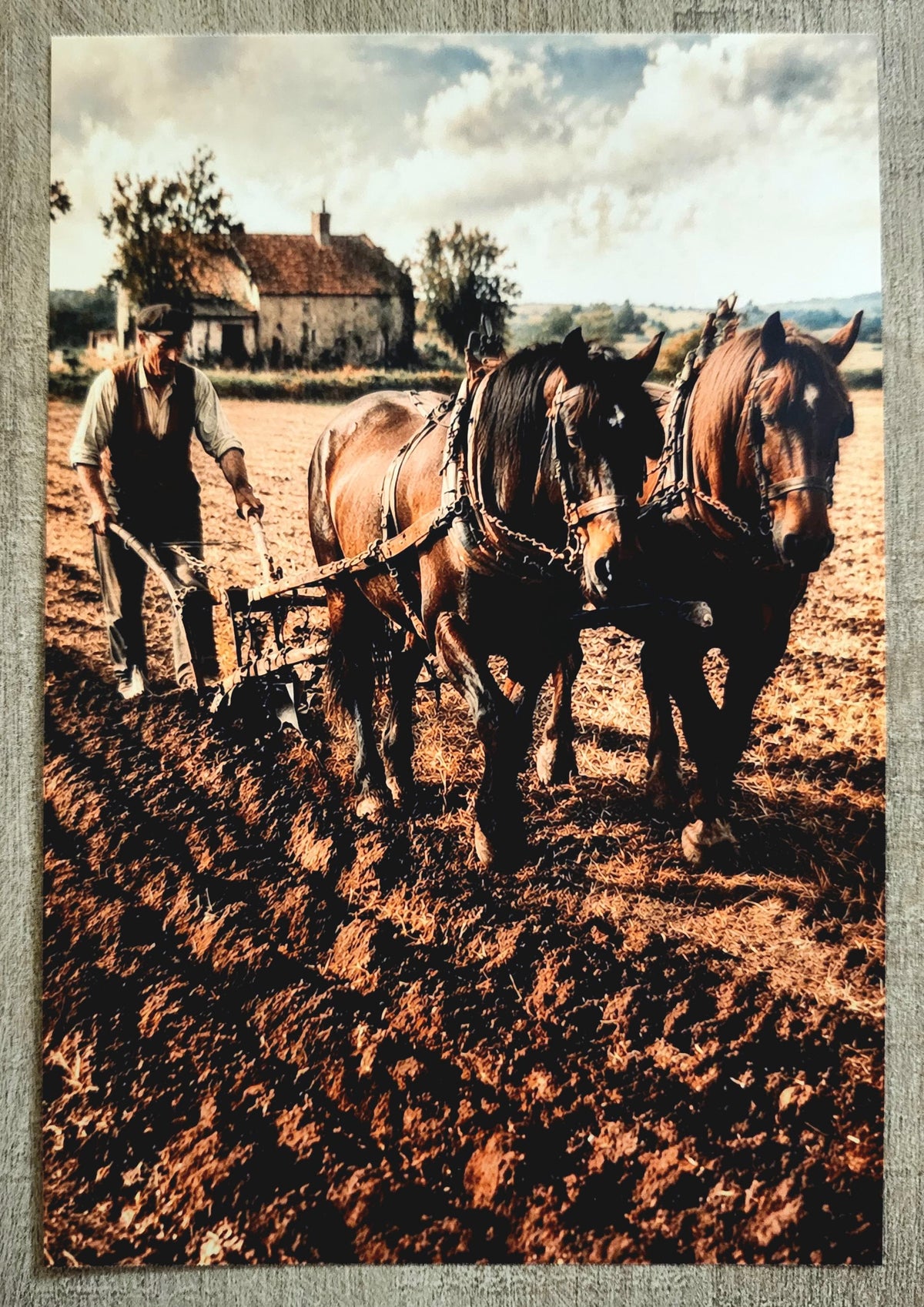 Affiche Imprimée Campagne & Travaux des champs, Art, Poster d'antan – Édition Premium – Art Rural Authentique, Conçue et Imprimée en France